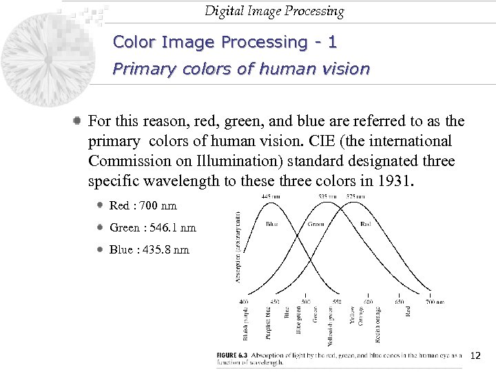Digital Image Processing Color Image Processing - 1 Primary colors of human vision For