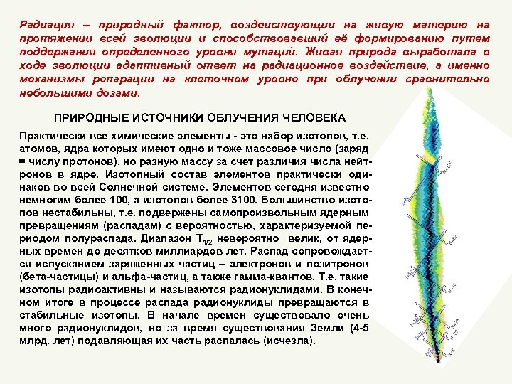 Радиация – природный фактор, воздействующий на живую материю на протяжении всей эволюции и способствовавший