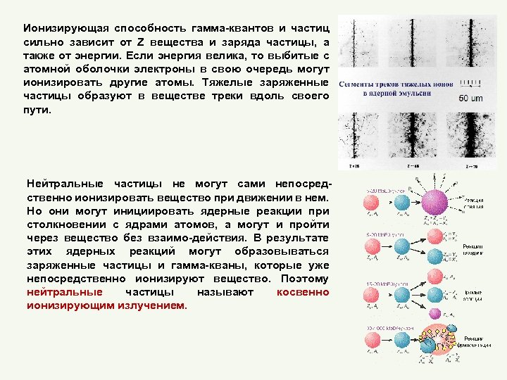 Заряды альфа бета и гамма частиц. Ионизирующая способность гамма частиц. Ионизирующая способность гамма излучения. Ионизирующие частицы. Ионизированная частица это.