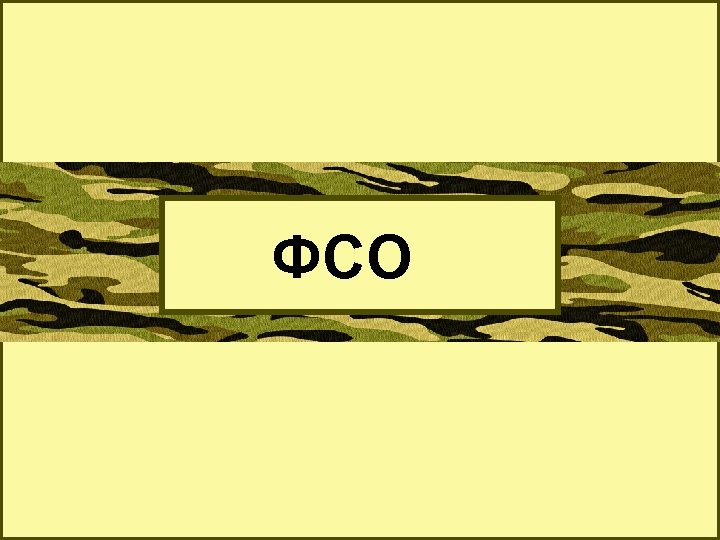 ФСО 