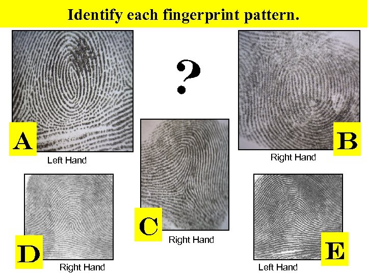 Identify each fingerprint pattern. Right Hand Left Hand 