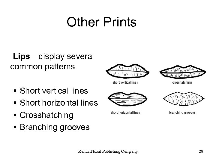 Other Prints Lips—display several common patterns § § Short vertical lines Short horizontal lines