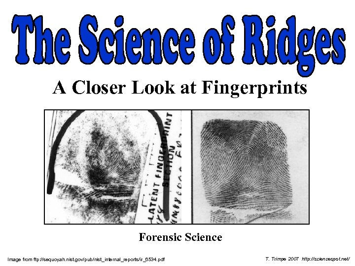 A Closer Look at Fingerprints Forensic Science Image from ftp: //sequoyah. nist. gov/pub/nist_internal_reports/ir_6534. pdf