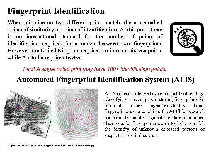 Fingerprint Identification When minutiae on two different prints match, these are called points of