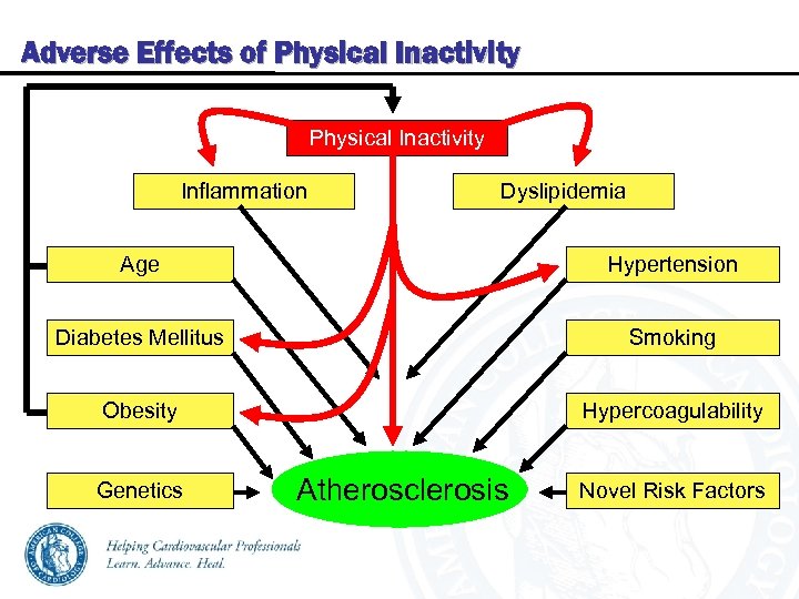 Adverse Effects of Physical Inactivity Inflammation Dyslipidemia Age Hypertension Diabetes Mellitus Smoking Obesity Hypercoagulability
