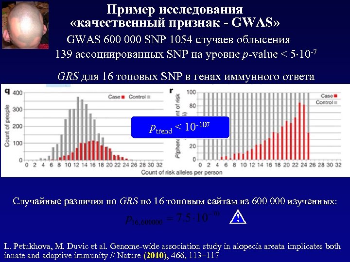 Пример исследования «качественный признак - GWAS» GWAS 600 000 SNP 1054 случаев облысения 139