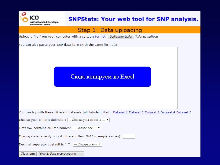 Сюда копируем из Excel 