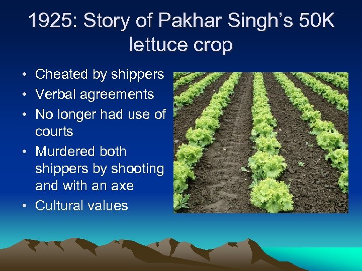 1925: Story of Pakhar Singh’s 50 K lettuce crop • Cheated by shippers •