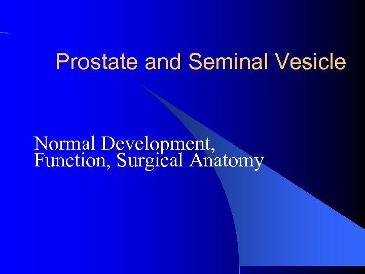 Prostate and Seminal Vesicle Normal Development, Function, Surgical Anatomy 