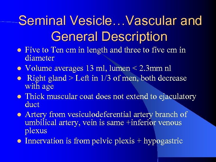 Seminal Vesicle…Vascular and General Description l l l Five to Ten cm in length