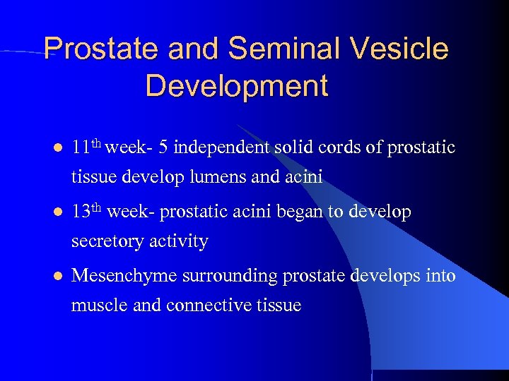 Prostate and Seminal Vesicle Development l 11 th week- 5 independent solid cords of