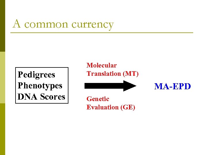 A common currency Pedigrees Phenotypes DNA Scores Molecular Translation (MT) MA-EPD Genetic Evaluation (GE)