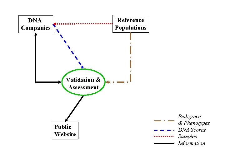 Reference Populations DNA Companies Validation & Assessment Public Website Pedigrees & Phenotypes DNA Scores