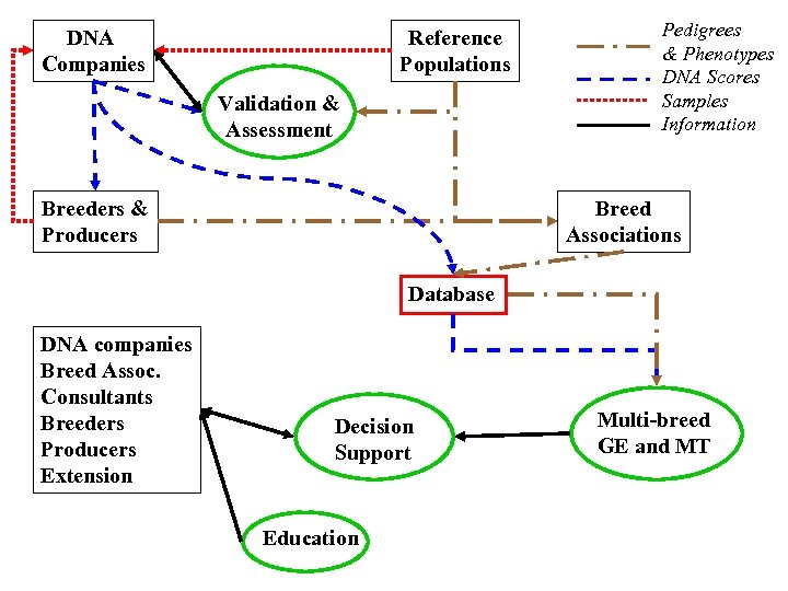 DNA Companies Reference Populations Validation & Assessment Breeders & Producers Pedigrees & Phenotypes DNA
