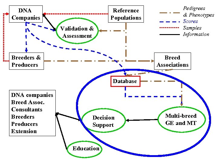 DNA Companies Reference Populations Validation & Assessment Breeders & Producers Pedigrees & Phenotypes Scores