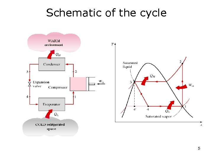 Schematic of the cycle 5 