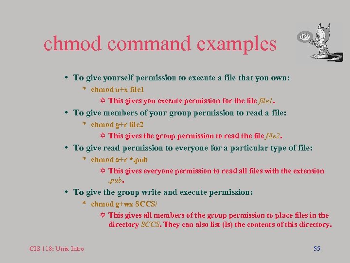 chmod command examples • To give yourself permission to execute a file that you