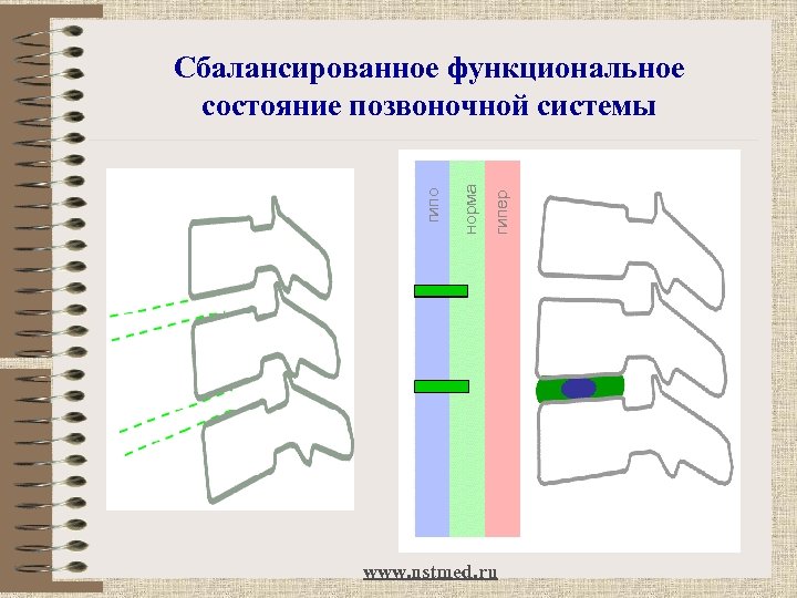 гипер норма гипо Сбалансированное функциональное состояние позвоночной системы www. nstmed. ru 