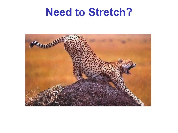 Need to Stretch? 