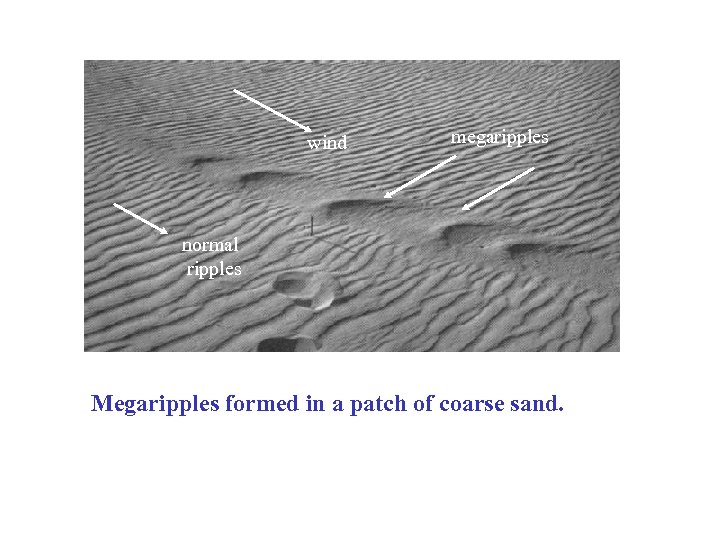 wind megaripples normal ripples Megaripples formed in a patch of coarse sand. 