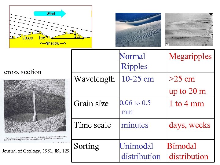 stoss lee cross section h Normal Ripples Wavelength 10 -25 cm Megaripples >25 cm