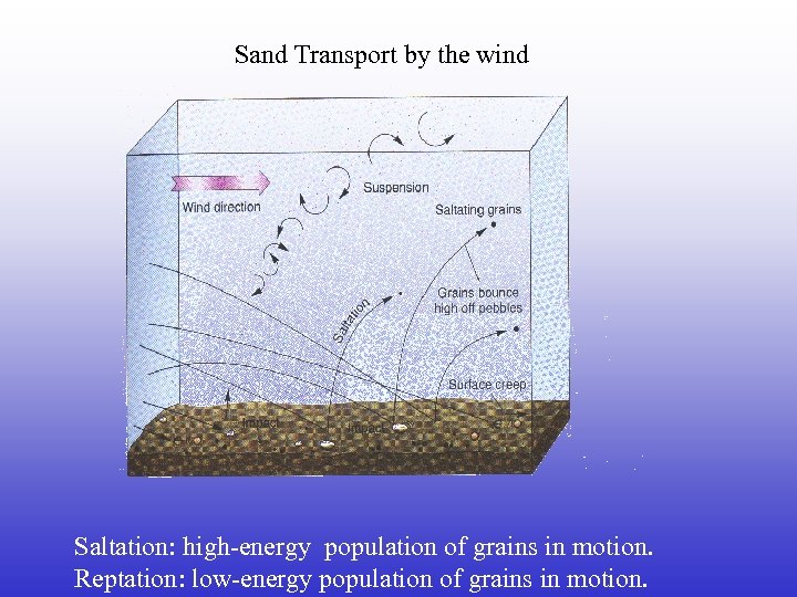 Sand Transport by the wind Saltation: high-energy population of grains in motion. Reptation: low-energy