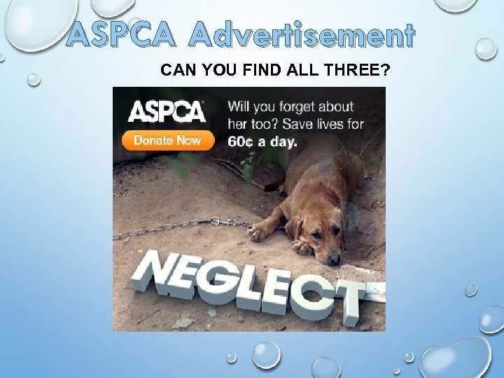 ASPCA Advertisement CAN YOU FIND ALL THREE? 