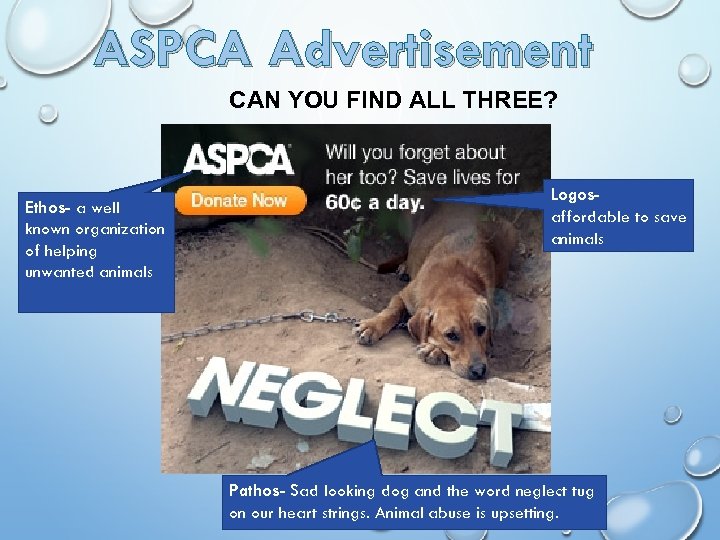 ASPCA Advertisement CAN YOU FIND ALL THREE? Ethos- a well known organization of helping