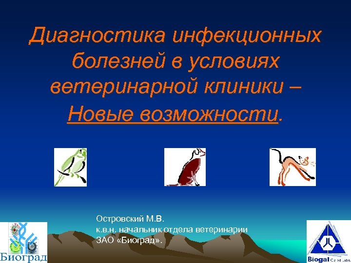 Диагностика инфекционных болезней в условиях ветеринарной клиники – Новые возможности. Островский М. В. к.