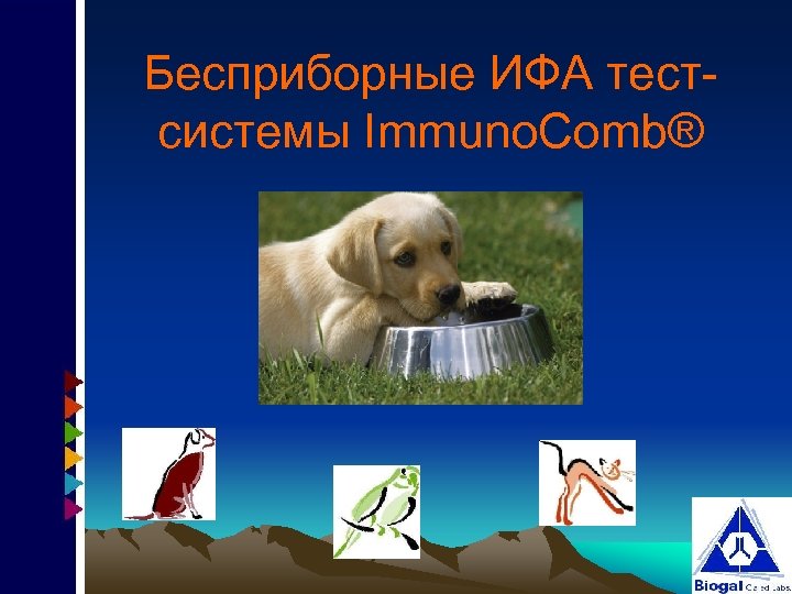 Бесприборные ИФА тестсистемы Immuno. Comb® 