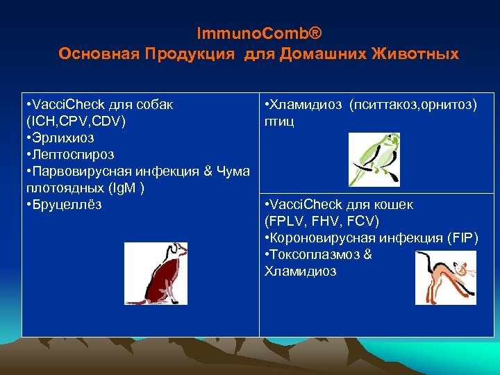 Immuno. Comb® Основная Продукция для Домашних Животных • Vacci. Check для собак • Хламидиоз