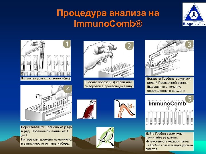 Процедура анализа на Immuno. Comb® 