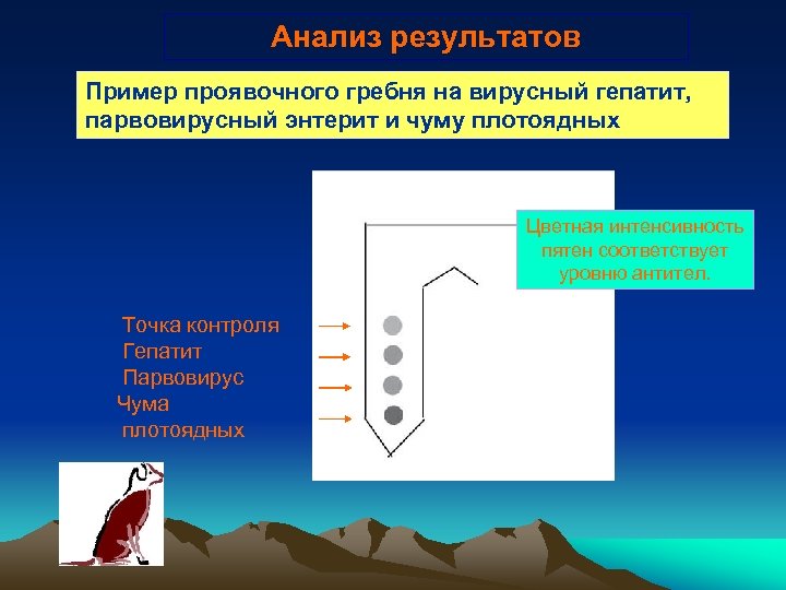 Анализ результатов Пример проявочного гребня на вирусный гепатит, парвовирусный энтерит и чуму плотоядных Цветная