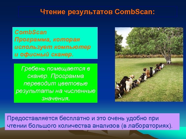 Чтение результатов Comb. Scan: Comb. Scan Программа, которая использует компьютер и офисный сканер. Гребень