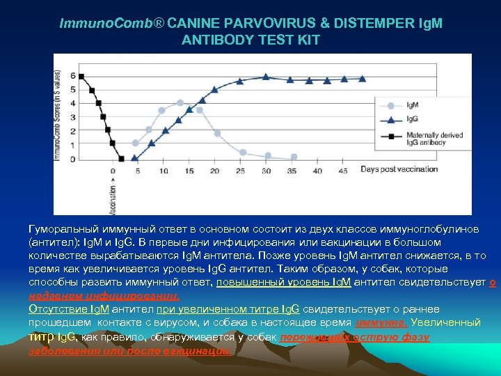 Immuno. Comb® CANINE PARVOVIRUS & DISTEMPER Ig. M ANTIBODY TEST KIT Гуморальный иммунный ответ