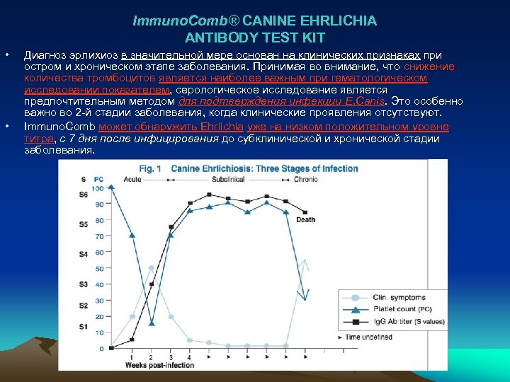 Immuno. Comb® CANINE EHRLICHIA ANTIBODY TEST KIT • • Диагноз эрлихиоз в значительной мере