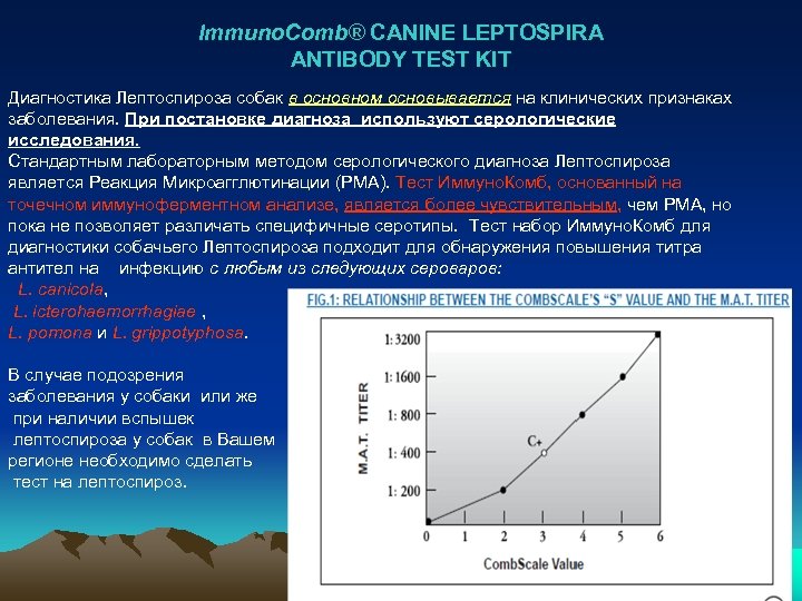 Immuno. Comb® CANINE LEPTOSPIRA ANTIBODY TEST KIT Диагностика Лептоспироза собак в основном основывается на