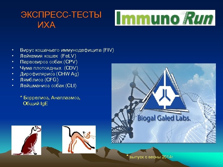 ЭКСПРЕСС-ТЕСТЫ ИХА • • Вирус кошачьего иммунодефицита (FIV) Лейкемия кошек (Fe. LV) Парвовироз собак
