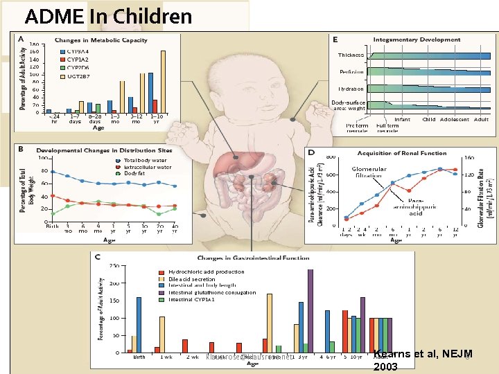 ADME In Children klaus. rose@klausrose. net Kearns et al, NEJM 6 2003 