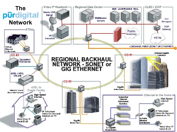 The Network 