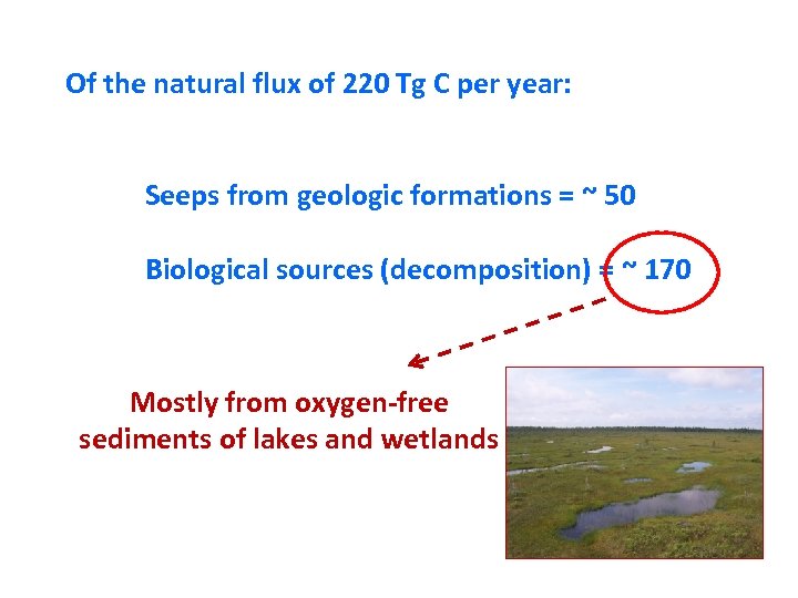 Of the natural flux of 220 Tg C per year: Seeps from geologic formations