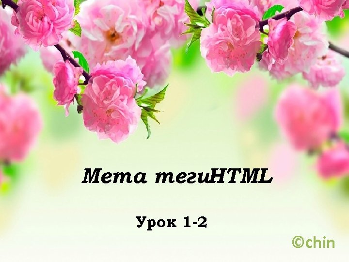 Мета теги. HTML Урок 1 -2 ©chin 