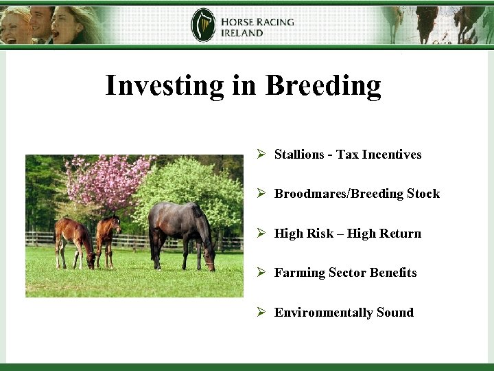 Investing in Breeding Ø Stallions - Tax Incentives Ø Broodmares/Breeding Stock Ø High Risk