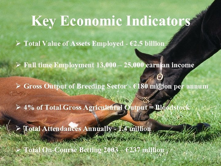 Key Economic Indicators Ø Total Value of Assets Employed - € 2. 5 billion