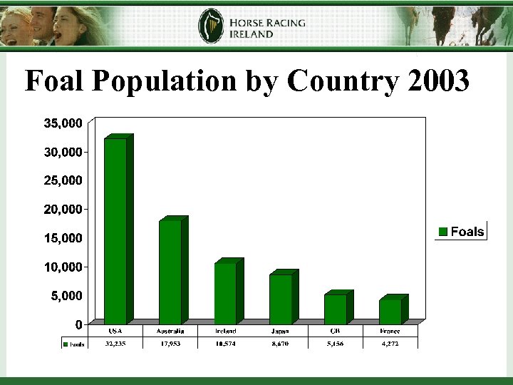 Foal Population by Country 2003 