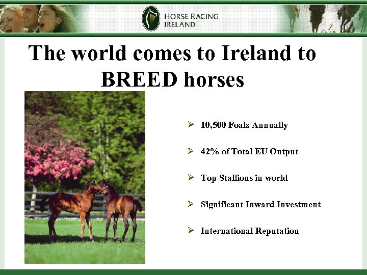 The world comes to Ireland to BREED horses Ø 10, 500 Foals Annually Ø