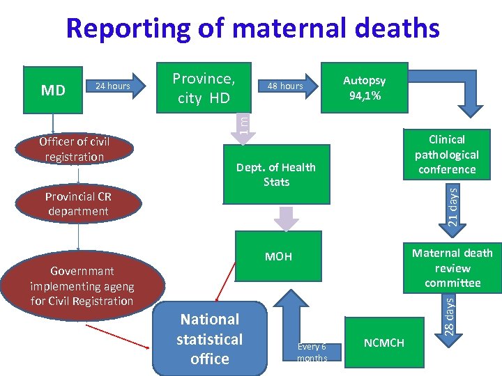 Reporting of maternal deaths Governmant implementing ageng for Civil Registration Autopsy 94, 1% Clinical