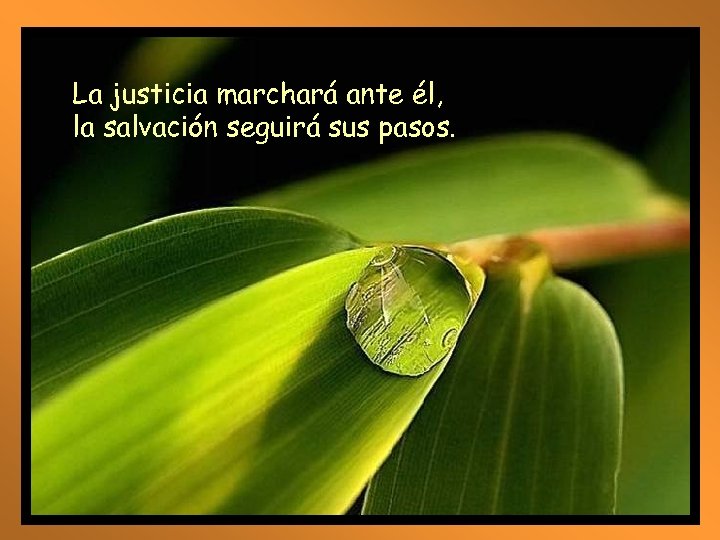 La justicia marchará ante él, la salvación seguirá sus pasos. 