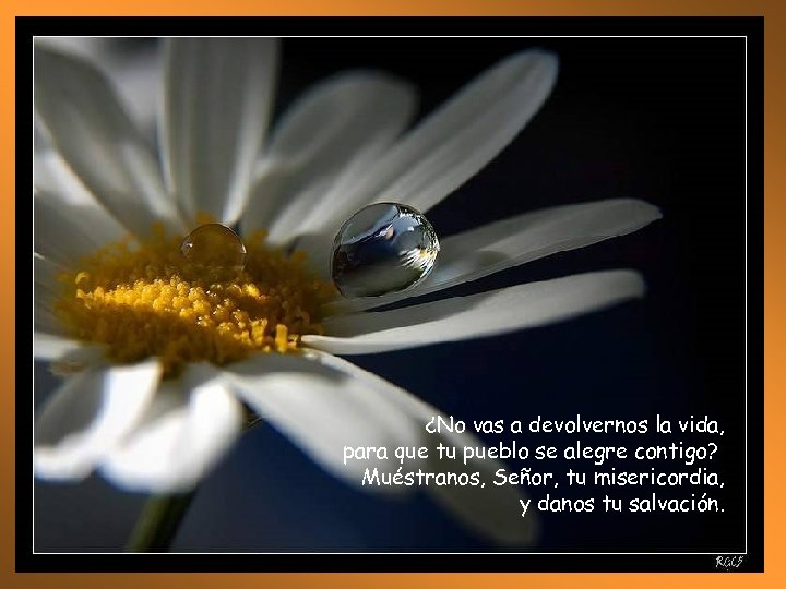 ¿No vas a devolvernos la vida, para que tu pueblo se alegre contigo? Muéstranos,