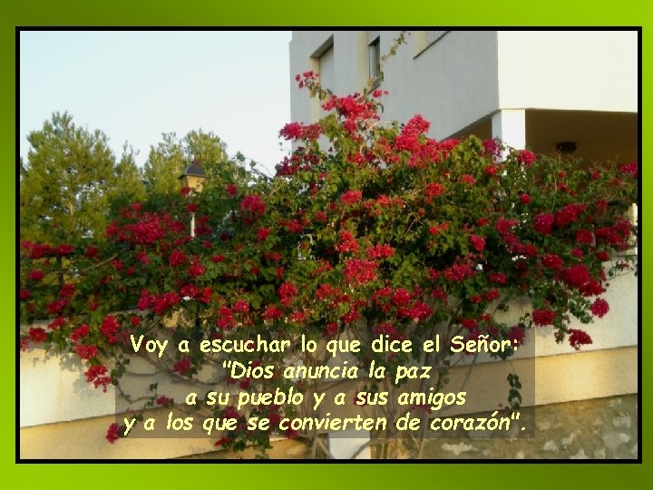 Voy a escuchar lo que dice el Señor: 